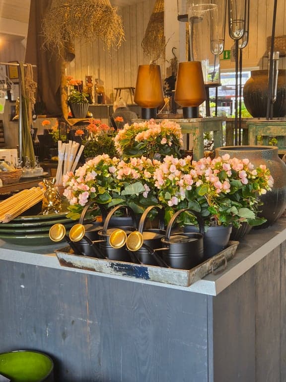 Blommor